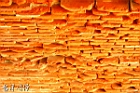 b018-09.JPG